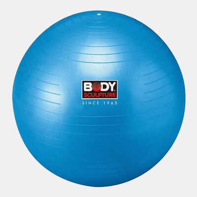 بودي سكلبتشر كرة رياضية للتدليك مع مضخة (26 إنش) متعدد