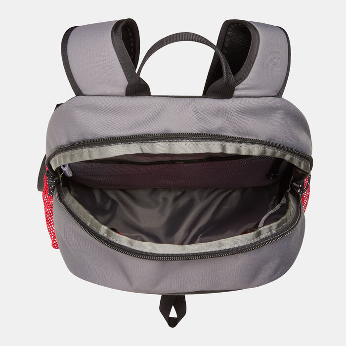 ذا نورث فيس حقيبة الظهر Y2K دايباك رمادي image number 2