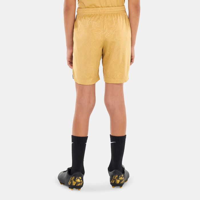 نايكي شورت كرة القدم F.C. برشلونة دراي-فت ستيديوم الاحتياطي للاطفال الكبار - 2022/23 بيج image number 1